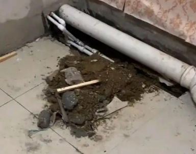 白水卫生间漏水检测哪家好