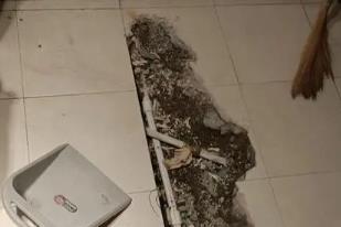 白水卫生间漏水检测电话